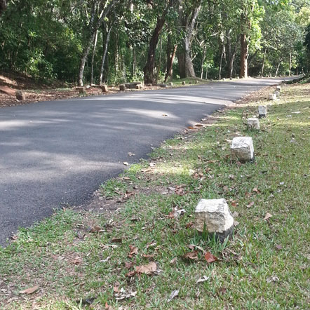 jungle walk thekkady tourism